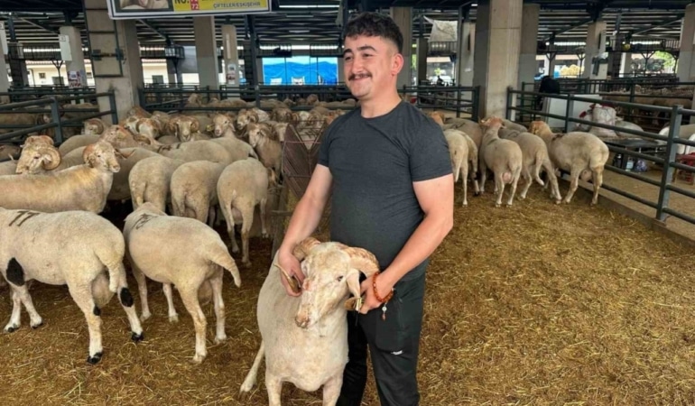 Bursa’daki sıra dışı “gergedan boynuz”lu koç görenleri şaşırtıyor