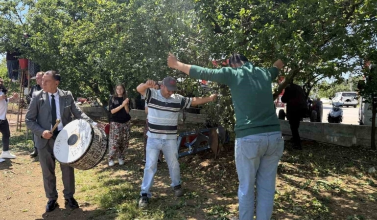 Davullu zurnalı erik hasadı