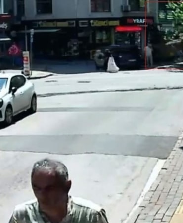 150 yıllık çınar böyle devrildi