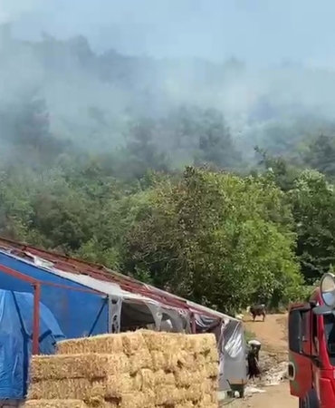 BURSA'DA AĞAÇLIK ALANDA ÇIKAN YANGIN PANİĞE NEDEN OLDU. İHBAR ÜZERİNE BÖLGEYE SEVK EDİLEN İTFAİYE EKİPLERİNİN ALEVLERE MÜDAHALESİ SÜRÜYOR.