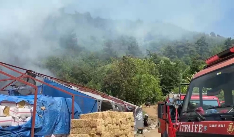 BURSA'DA AĞAÇLIK ALANDA ÇIKAN YANGIN PANİĞE NEDEN OLDU. İHBAR ÜZERİNE BÖLGEYE SEVK EDİLEN İTFAİYE EKİPLERİNİN ALEVLERE MÜDAHALESİ SÜRÜYOR.