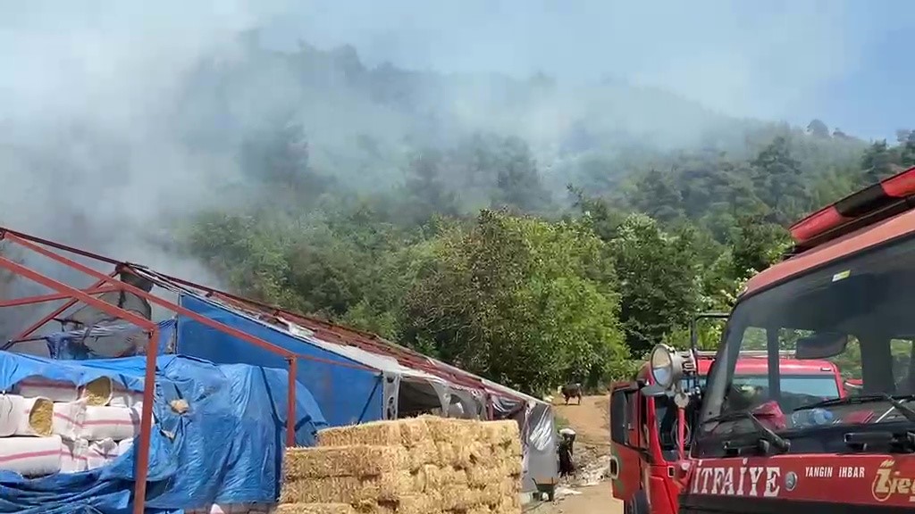 BURSA'DA AĞAÇLIK ALANDA ÇIKAN YANGIN PANİĞE NEDEN OLDU. İHBAR ÜZERİNE BÖLGEYE SEVK EDİLEN İTFAİYE EKİPLERİNİN ALEVLERE MÜDAHALESİ SÜRÜYOR.
