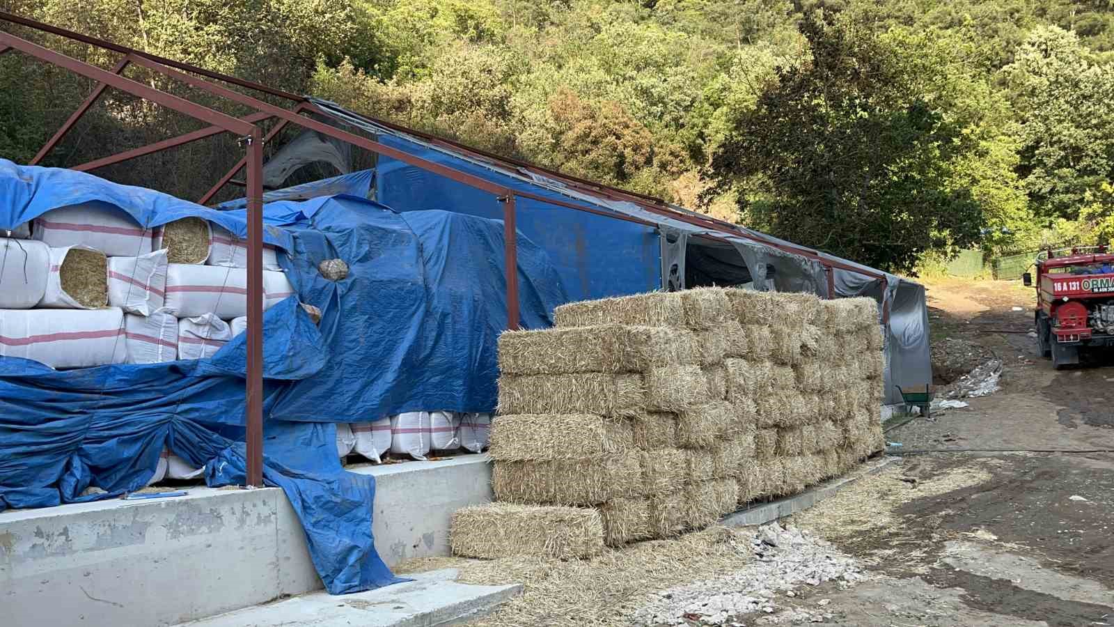 BURSA'DA ORMANLIK ALANA SIÇRAYAN YANGIN KONTROL ALTINA ALINDI. YANGININ ÇIKTIĞI AHIRDAKİ İNEKLER SON ANDA KURTARILIRKEN, 1 İNEK İSE YANARAK TELEF OLDU. BÖLGEDE SOĞUTMA ÇALIŞMALARI SÜRÜYOR.