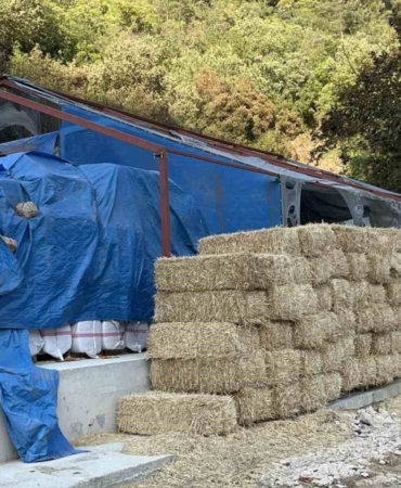 BURSA'DA ORMANLIK ALANA SIÇRAYAN YANGINA İLİŞKİN YÜRÜTÜLEN SORUŞTURMADA 1 ŞÜPHELİ GÖZALTINA ALINDI.