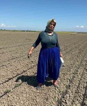 Belindeki 8 platinle tarlada ekmeğini kazanıyor