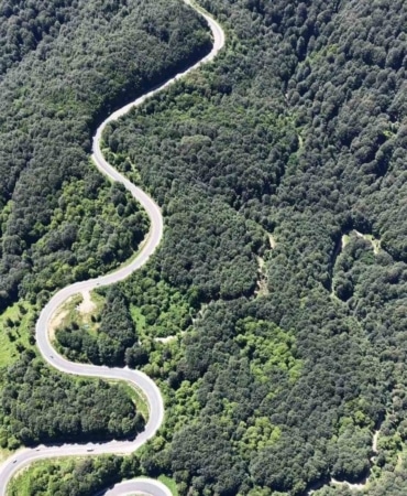 Bursa ormanlarında kartpostallık görüntüler