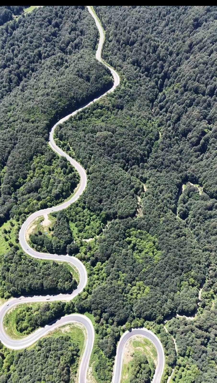 Bursa ormanlarında kartpostallık görüntüler
