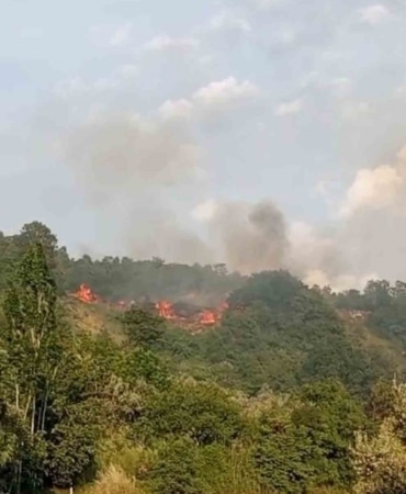Bursa’da makilik alanda yangın