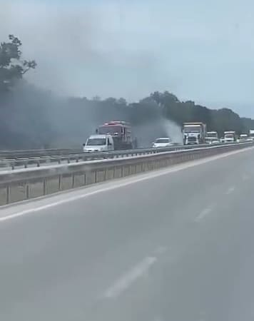 İzmir-Bursa kara yolunda alevler korkuttu