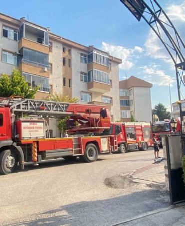 BURSA'NIN İNEGÖL İLÇESİNDE 5 KATLI BİR APARTMANIN EN ÜST KATINDA ÇIKAN YANGINDA MAHSUR KALAN ANNE KEDİ İLE YAVRULARINI KURTARMAK İÇİN ZAMANLA YARIŞAN İTFAİYE EKİPLERİ, KALP MASAJI VE OKSİJEN DESTEĞİYLE ANNE KEDİ İLE 2 YAVRUSUNU HAYATA DÖNDÜRDÜ. YANGINDA 2 YAVRU KEDİ İSE YAŞAMINI YİTİRDİ.