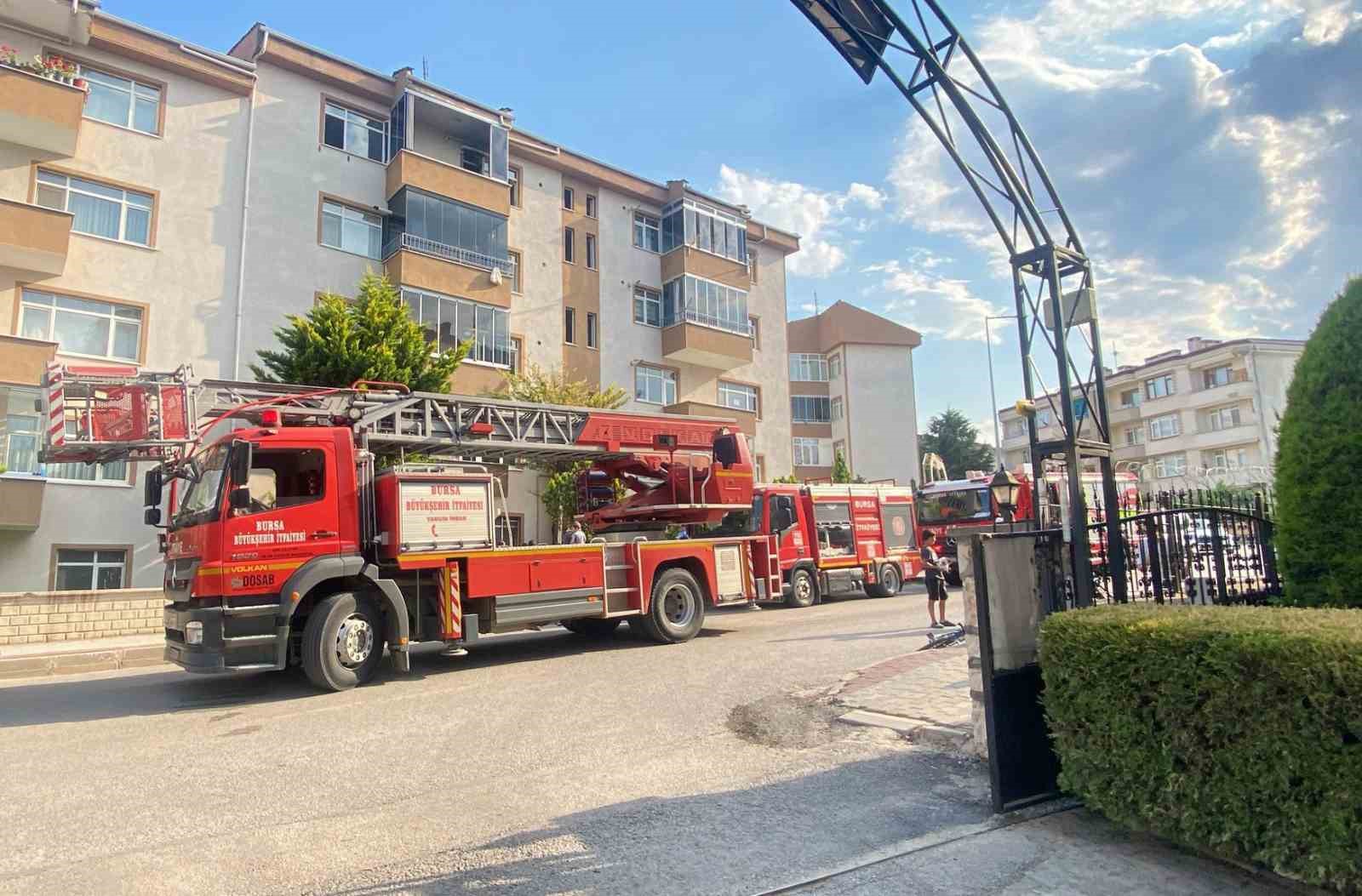 BURSA'NIN İNEGÖL İLÇESİNDE 5 KATLI BİR APARTMANIN EN ÜST KATINDA ÇIKAN YANGINDA MAHSUR KALAN ANNE KEDİ İLE YAVRULARINI KURTARMAK İÇİN ZAMANLA YARIŞAN İTFAİYE EKİPLERİ, KALP MASAJI VE OKSİJEN DESTEĞİYLE ANNE KEDİ İLE 2 YAVRUSUNU HAYATA DÖNDÜRDÜ. YANGINDA 2 YAVRU KEDİ İSE YAŞAMINI YİTİRDİ.