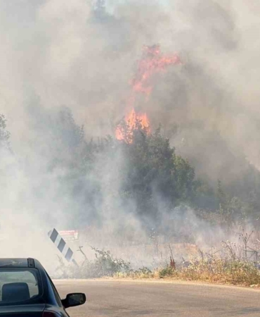 BURSA'NIN İZNİK İLÇESİNE BAĞLI ELBEYLİ MAHALLESİ'NDE BULUNAN ÇÖP DEPOLAMA TESİSİNDE ÇIKAN YANGIN, KISA SÜREDE BÜYÜYEREK ÇEVREDEKİ ORMANLIK ALANA SIÇRADI.
