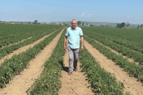 SEÇİM GEZEGEN, BU YIL KARPUZ YERİNE DOMATES VE BİBER ÜRETTİĞİNİ İFADE ETTİ.