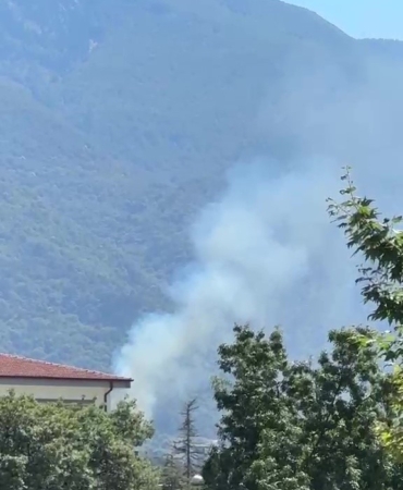 BURSA'NIN KESTEL İLÇESİ'NDE ORMAN YANGINI ÇIKTI. BÖLGEYE SEVK EDİLEN EKİPLER, ALEVLERİ KONTROL ALTINA ALMAK İÇİN ÇALIŞMALARI SÜRÜYOR.