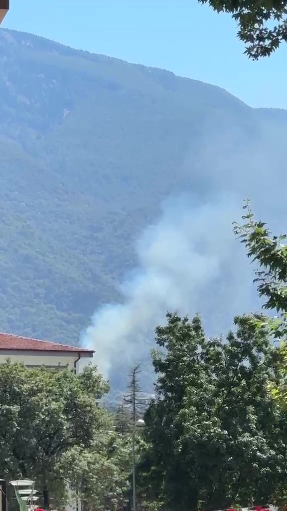 BURSA'NIN KESTEL İLÇESİ'NDE ORMAN YANGINI ÇIKTI. BÖLGEYE SEVK EDİLEN EKİPLER, ALEVLERİ KONTROL ALTINA ALMAK İÇİN ÇALIŞMALARI SÜRÜYOR.