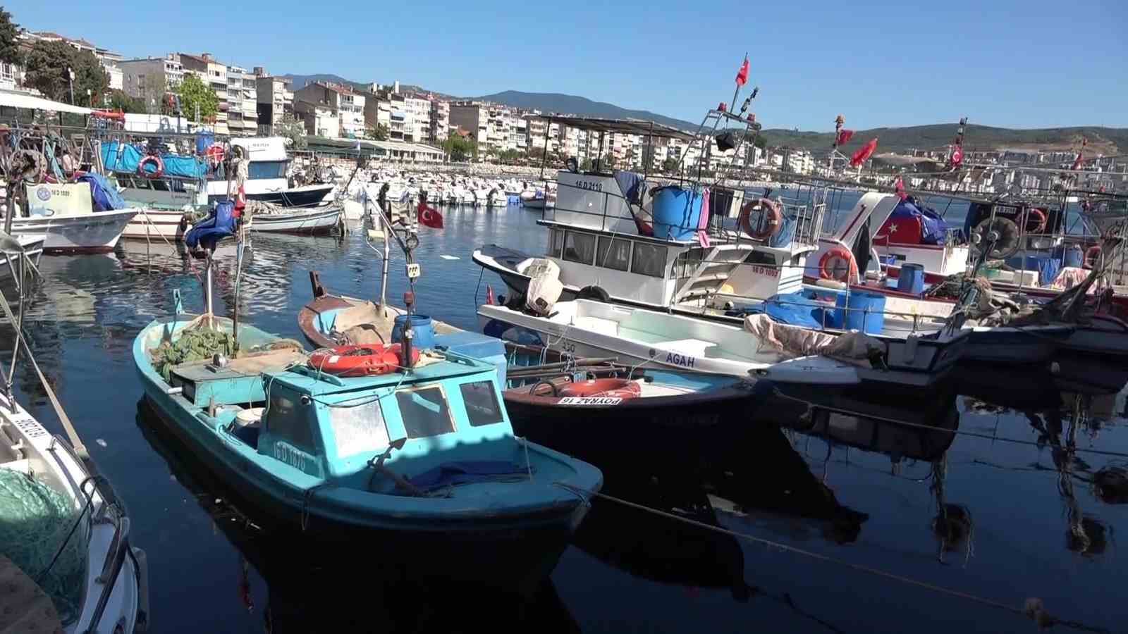 BURSA'NIN GEMLİK İLÇESİNDE GEÇİMİNİ BALIKÇILIKLAR, DENİZLERDEKİ BALIK POPÜLASYONUNUN AZALMASI, ARTAN MALİYETLER, MÜSİLAJ VE BİLİNÇSİZ AVLANMA NEDENİYLE ZOR GÜNLER GEÇİRDİKLERİNİ SÖYLEDİ.