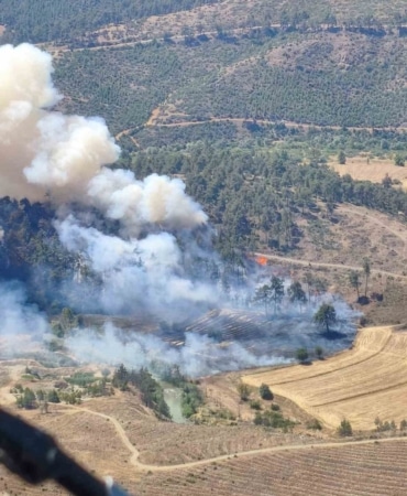 BURSA’DA OTLUK ALANDA BAŞLAYAN YANGIN ORMANA SIÇRADI