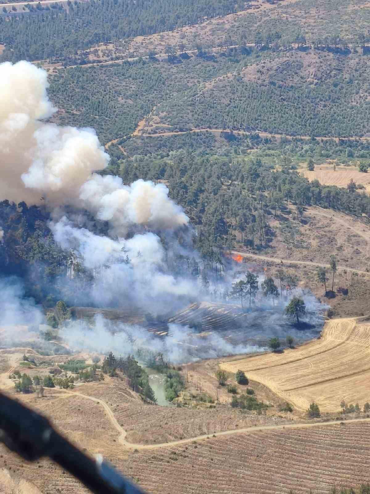 BURSA’DA OTLUK ALANDA BAŞLAYAN YANGIN ORMANA SIÇRADI