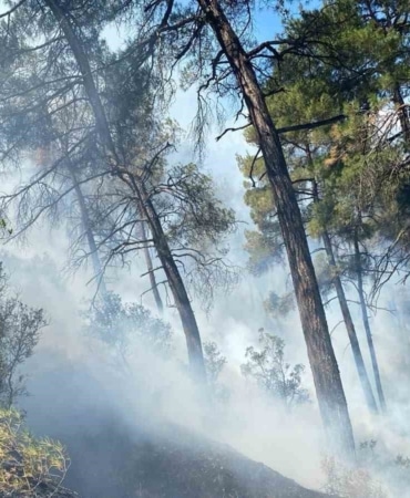 BURSA'NIN BÜYÜKORHAN İLÇESİNDE OTLUK ALANDA BAŞLAYARAK ORMANLIK ALANA SIÇRAYAN YANGIN, EKİPLERİN HAVADAN VE KARADAN YÜRÜTTÜĞÜ YOĞUN MÜDAHALENİN ARDINDAN SÖNDÜRÜLDÜ. BÖLGEDE SOĞUTMA ÇALIŞMALARI DEVAM EDİYOR.