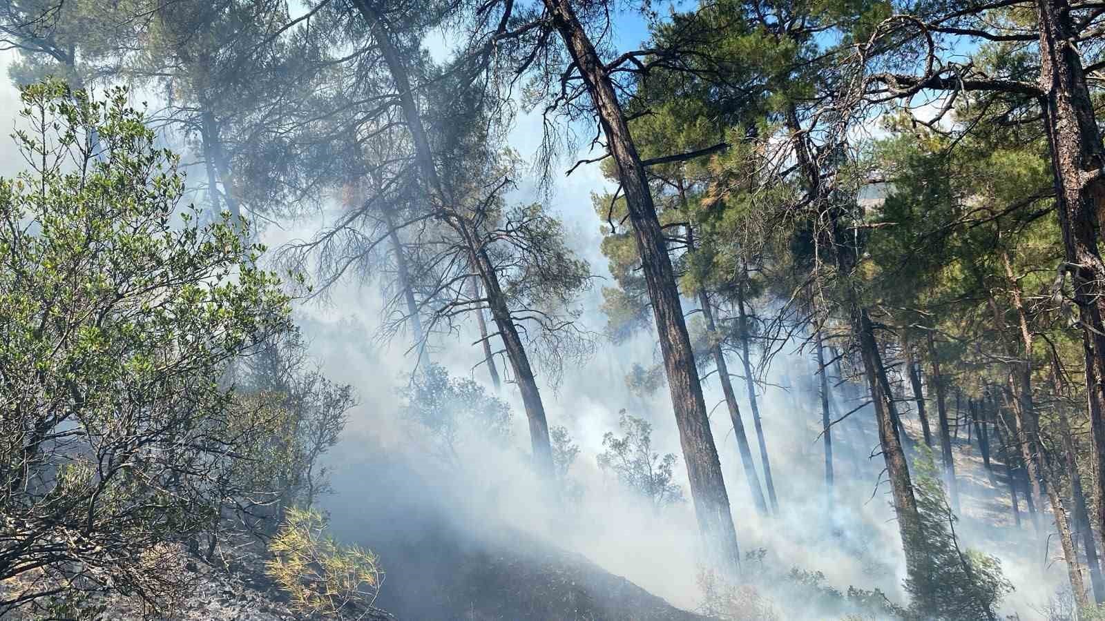 BURSA'NIN BÜYÜKORHAN İLÇESİNDE OTLUK ALANDA BAŞLAYARAK ORMANLIK ALANA SIÇRAYAN YANGIN, EKİPLERİN HAVADAN VE KARADAN YÜRÜTTÜĞÜ YOĞUN MÜDAHALENİN ARDINDAN SÖNDÜRÜLDÜ. BÖLGEDE SOĞUTMA ÇALIŞMALARI DEVAM EDİYOR.