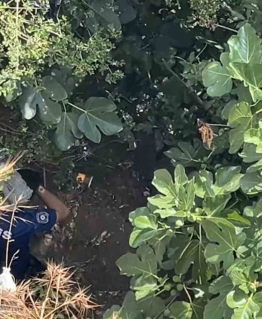 BURSA'DA MANZARAYI İZLERKEN 10 METRE YÜKSEKTEN DÜŞEN KADIN, YARDIM İÇİN GELEN POLİSLERDEN KAÇTI. ORMANIN İÇİNE GİREN KADIN, 2 SAAT SÜREN ARAMA ÇALIŞMA SONUCU BULUNDU