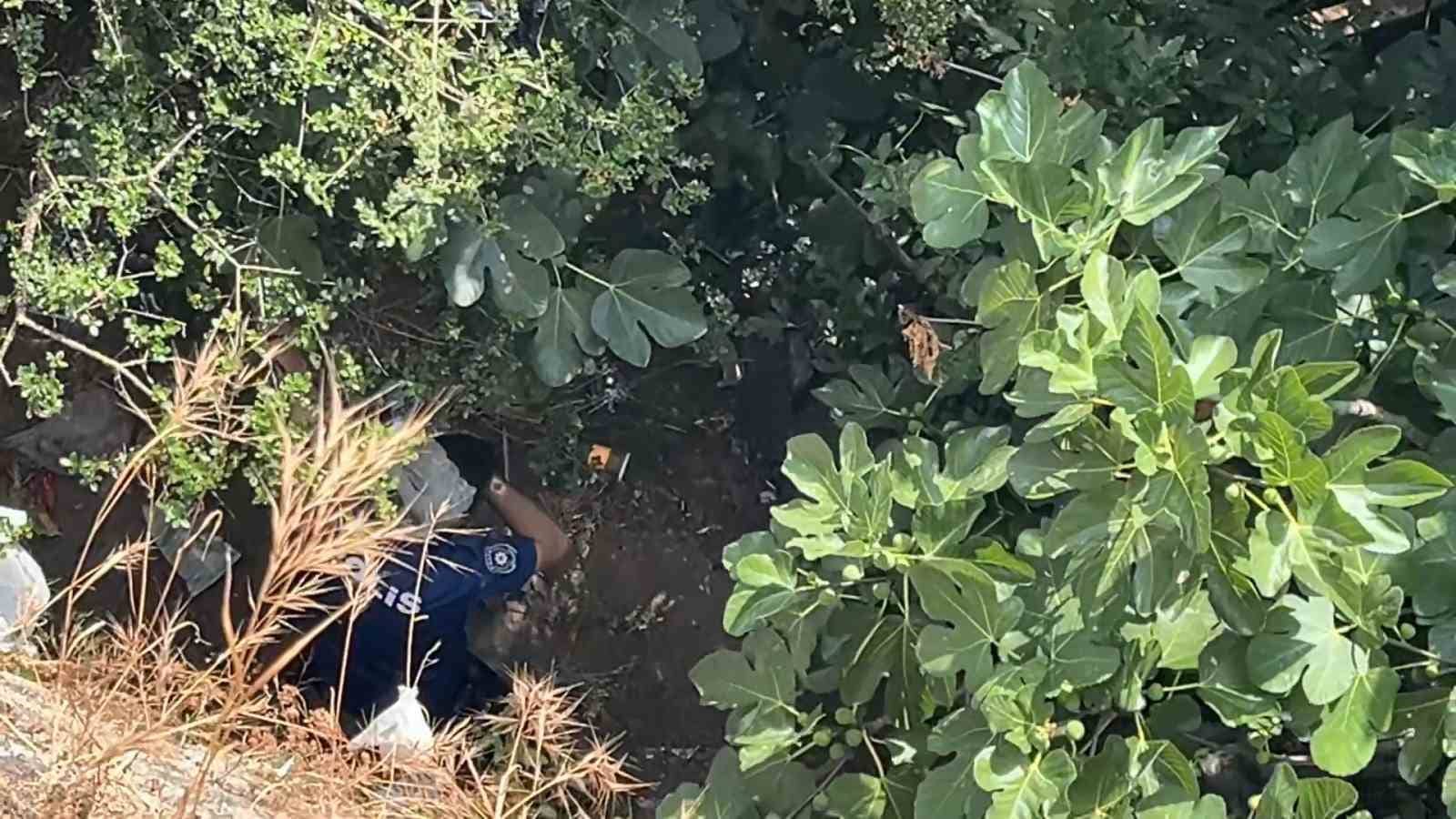 BURSA'DA MANZARAYI İZLERKEN 10 METRE YÜKSEKTEN DÜŞEN KADIN, YARDIM İÇİN GELEN POLİSLERDEN KAÇTI. ORMANIN İÇİNE GİREN KADIN, 2 SAAT SÜREN ARAMA ÇALIŞMA SONUCU BULUNDU