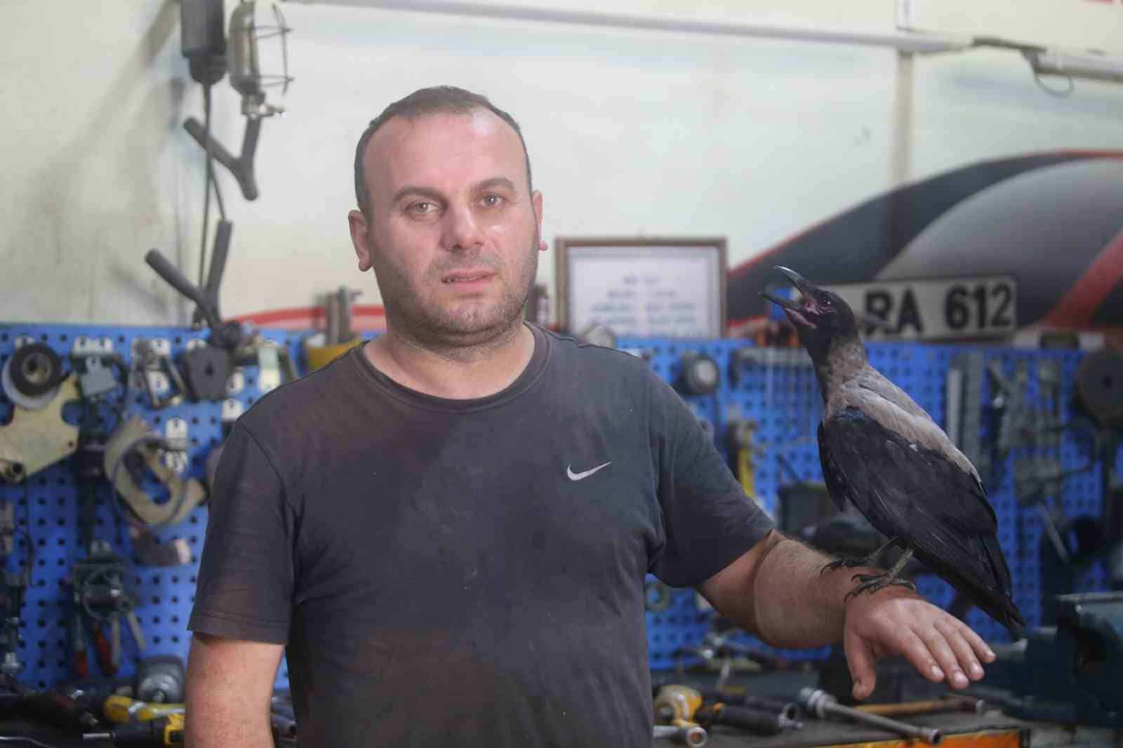BURSA'DA OTOMOBİL TAMİRCİSİ MURAT GÜNEY'İN 3 AY ÖNCE YARALI HALDE BULUP TEDAVİ ETTİĞİ 