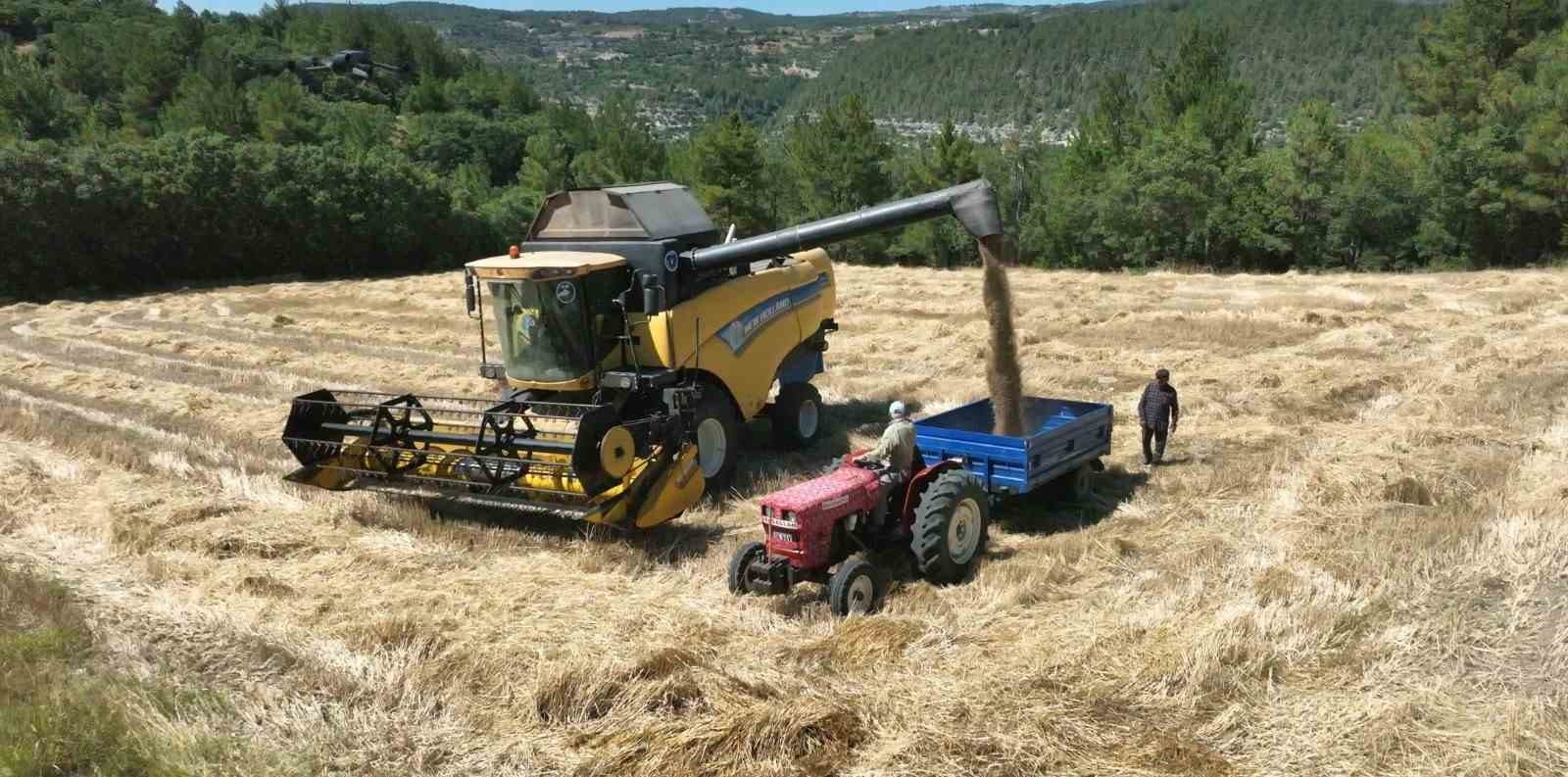 BURSA BÜYÜKŞEHİR BELEDİYESİ, KIRSAL KALKINMAYI DESTEKLEMEK AMACIYLA KELES İLÇESİNDEKİ ÇİFTÇİLERE, YÜZDE 100 DESTEKLİ OLARAK BUĞDAY HASAT HİZMETİ VERMEYE BAŞLADI.