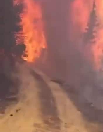 BURSA'NIN GEMLİK İLÇESİNDE ÇIKAN ORMAN YANGININA MÜDAHALE EDEN EKİPLER, ZAMAN ZAMAN ALEV KAPANININ İÇİNDE KALARAK ÖLÜMLE BURUN BURUNA MÜCADELE VERDİ. YAKLAŞIK 5 SAAT SÜREN YOĞUN ÇALIŞMALARIN ARDINDAN YANGIN KONTROL ALTINA ALINIRKEN, GEMLİK'İN SİMGELERİNDEN OLAN FISTIK ÇAMLARI İSE ALEVLERE TESLİM OLARAK KÜLE DÖNDÜ.