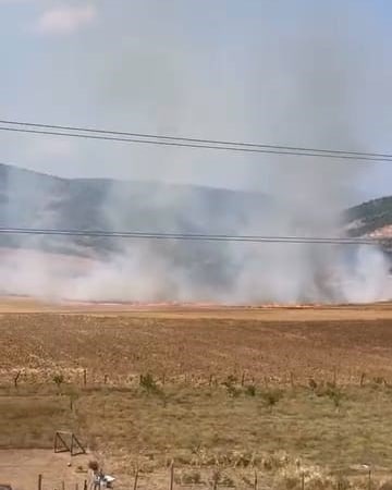 BURSA’DA TARLALIK ALANI ATEŞEN VEREN ŞÜPHELİ YAKALANDI