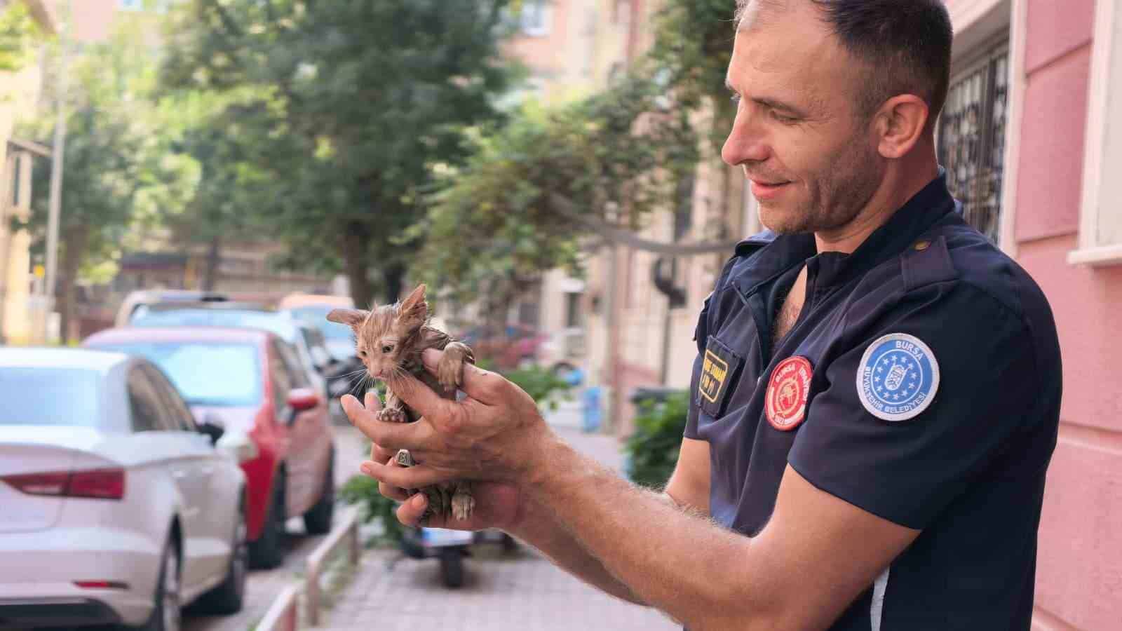 BURSA’NIN İNEGÖL İLÇESİNDE APARTMANIN YAĞMUR SUYU GİDER BORUSUNA SIKIŞAN YAVRU KEDİ, İTFAİYE EKİPLERİNİN MÜDAHALESİYLE KURTARILDI. YAVRU KEDİNİN KURTARILMA ANI İSE KAMERAYA SANİYE SANİYE YANSIDI.