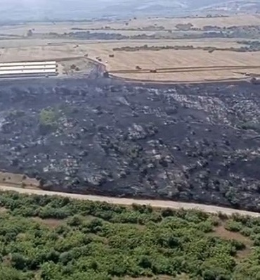 HAYIRLAR MAHALLESİ’NDE MAKİLİK ALANDA ORMAN YANGINI ÇIKTI