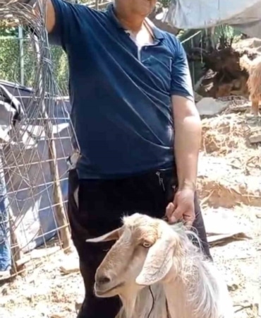 BURSA'DA BİR EVE GİRİP ETRAFI DAĞITAN YARAMAZ KEÇİ SOSYAL MEDYAYA DÜŞÜNCE ONU 4 GÜNDÜR ARAYAN SAHİBİ DE BULUNDU. YARAMAZ KEÇİ SÜRÜYE TEKRAR KAVUŞURKEN, HEM SAHİBİ HEM DE ONU BULANLAR RAHAT BİR NEFES ALDI.