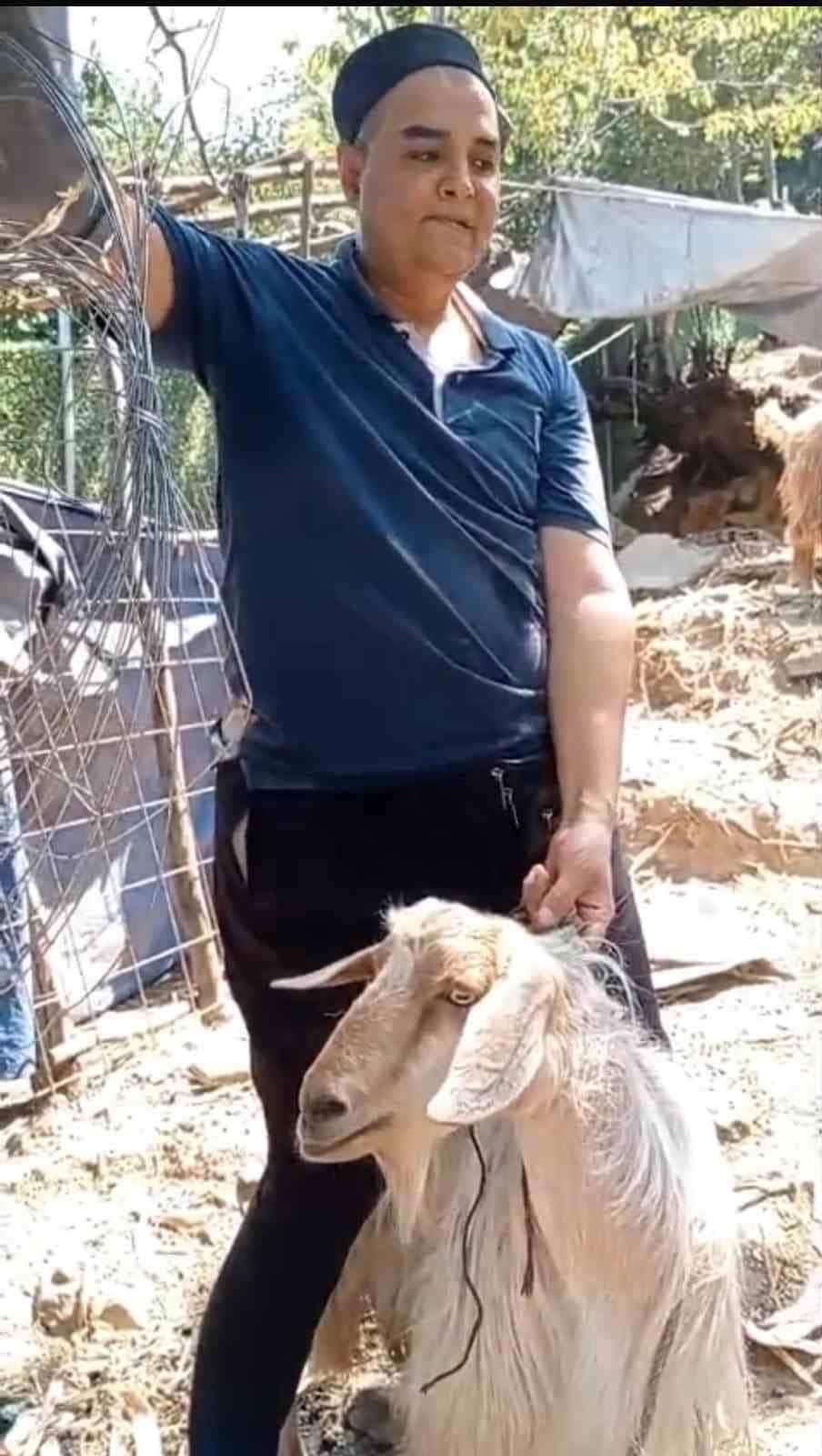 BURSA'DA BİR EVE GİRİP ETRAFI DAĞITAN YARAMAZ KEÇİ SOSYAL MEDYAYA DÜŞÜNCE ONU 4 GÜNDÜR ARAYAN SAHİBİ DE BULUNDU. YARAMAZ KEÇİ SÜRÜYE TEKRAR KAVUŞURKEN, HEM SAHİBİ HEM DE ONU BULANLAR RAHAT BİR NEFES ALDI.