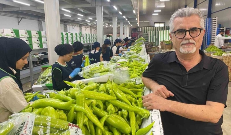 BURSA'NIN DÜNYACA ÜNLÜ SİYAH İNCİRİ İLE YENİŞEHİR'DE YETİŞTİRİLEN BİBER ÇEŞİTLERİ, AVRUPA ÜLKELERİNDEN YOĞUN TALEP GÖRÜYOR. KALİTESİ, AROMASI VE LEZZETİYLE ÖNE ÇIKAN BURSA ÜRÜNLERİ, BAŞTA AVRUPA OLMAK ÜZERE DÜNYANIN FARKLI ÜLKELERİNDEKİ SOFRALARDA YERİNİ ALIYOR.