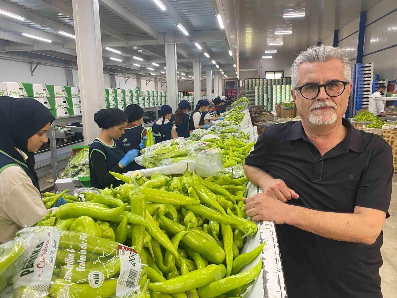 BURSA'NIN DÜNYACA ÜNLÜ SİYAH İNCİRİ İLE YENİŞEHİR'DE YETİŞTİRİLEN BİBER ÇEŞİTLERİ, AVRUPA ÜLKELERİNDEN YOĞUN TALEP GÖRÜYOR. KALİTESİ, AROMASI VE LEZZETİYLE ÖNE ÇIKAN BURSA ÜRÜNLERİ, BAŞTA AVRUPA OLMAK ÜZERE DÜNYANIN FARKLI ÜLKELERİNDEKİ SOFRALARDA YERİNİ ALIYOR.