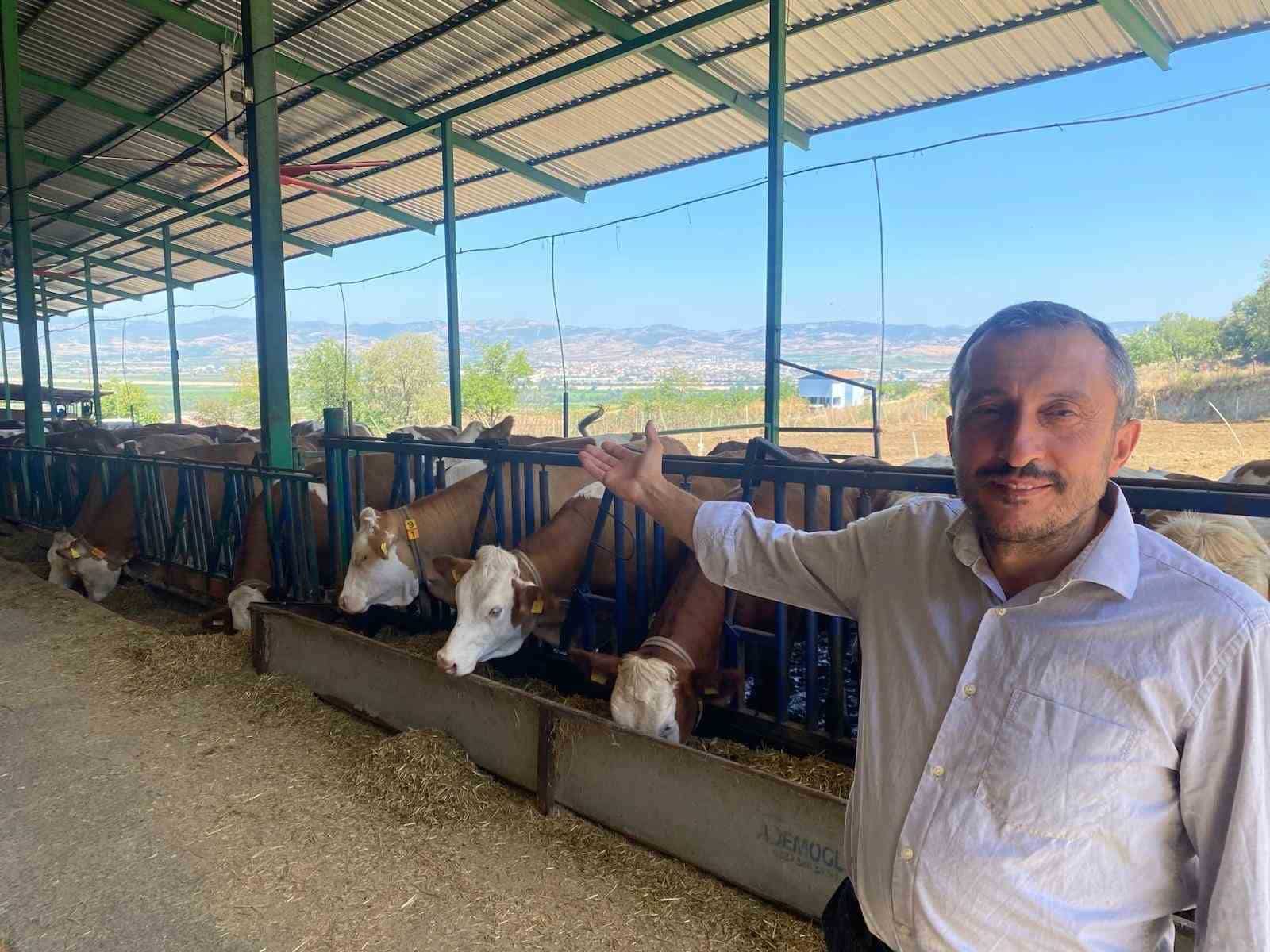 SÜT ÜRETİCİSİ AHMET İÇÖZ