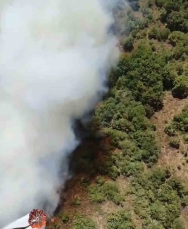 YENİŞEHİR’DE OTLUK ALANDA BAŞLAYAN YANGIN ORMANA SIÇRADI
