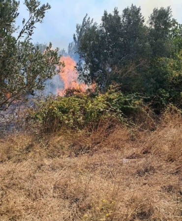 BURSA'NIN OSMANGAZİ VE KARACABEY İLÇELERİNDE ÇIKAN İKİ AYRI OT YANGINI EKİPLERİN MÜDAHALESİYLE KONTROL ALTINA ALINDI. KARACABEY'DEKİ YANGINDA ALEVLERİN BİR BARAKAYA DA SIÇRADIĞI BELİRLENDİ.
