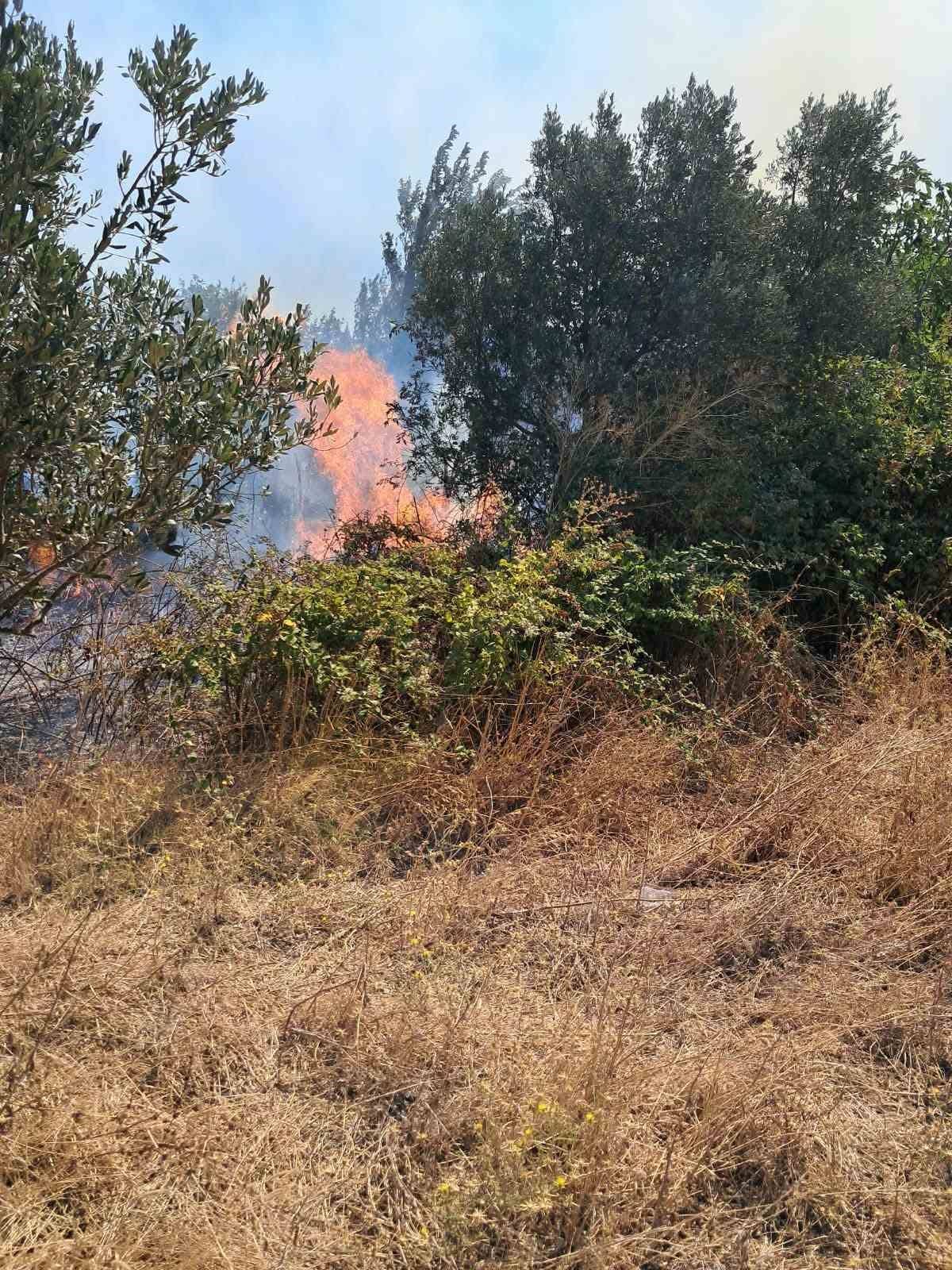 BURSA'NIN OSMANGAZİ VE KARACABEY İLÇELERİNDE ÇIKAN İKİ AYRI OT YANGINI EKİPLERİN MÜDAHALESİYLE KONTROL ALTINA ALINDI. KARACABEY'DEKİ YANGINDA ALEVLERİN BİR BARAKAYA DA SIÇRADIĞI BELİRLENDİ.