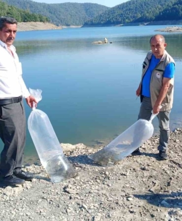 ORHANELİ’DE BULUNAN SULAMA GÖLETLERİNE SAZAN YAVRULARI BIRAKILDI.