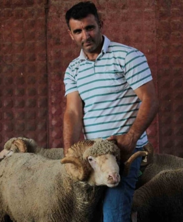 BANDIRMA KOYUNCULUK ARAŞTIRMA ENSTİTÜSÜ TARAFINDAN DÜZENLENEN AÇIK ARTIRMADA 1 MİLYON 110 BİN LİRALIK REKOR FİYATLA ALICI BULAN "ŞAMPİYON" İSİMLİ KARACABEY MERİNOSU KOÇUN, İLK YAVRULARI DOĞDU.