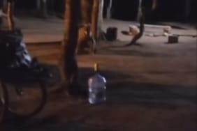 O ANLAR AİLE FERTLERİNDEN BİRİ TARAFINDAN CEP TELEFONU KAMERASIYLA KAYDEDİLDİ.
