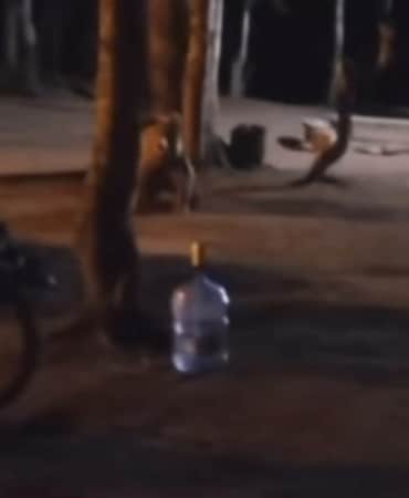 O ANLAR AİLE FERTLERİNDEN BİRİ TARAFINDAN CEP TELEFONU KAMERASIYLA KAYDEDİLDİ.