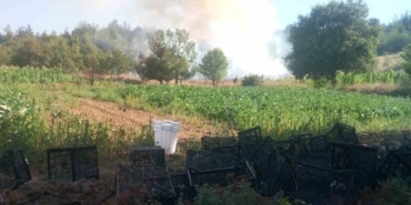 BURSA’NIN KESTEL İLÇESİNDE ORMANLIK ALANDA ÇIKAN YANGINA HAVADAN VE KARADAN MÜDAHALE BAŞLATILDI.