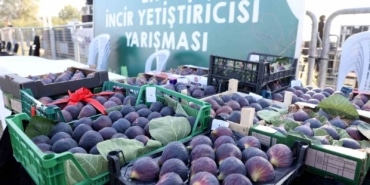NİLÜFER BELEDİYESİ’NİN GELENEKSELLEŞEN 12. AKÇALAR FADILLI İNCİR FESTİVALİ, 13 EYLÜL PAZAR GÜNÜ AKÇALAR GÖL KIYISI’NDA DÜZENLENECEK. YARIŞMALAR, ATÖLYELER VE KARAF KONSERİYLE RENKLENECEK FESTİVAL, KATILIMCILARA KEYİFLİ ANLAR YAŞATACAK.