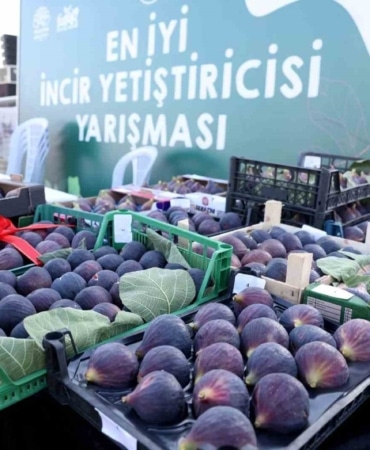 NİLÜFER BELEDİYESİ’NİN GELENEKSELLEŞEN 12. AKÇALAR FADILLI İNCİR FESTİVALİ, 13 EYLÜL PAZAR GÜNÜ AKÇALAR GÖL KIYISI’NDA DÜZENLENECEK. YARIŞMALAR, ATÖLYELER VE KARAF KONSERİYLE RENKLENECEK FESTİVAL, KATILIMCILARA KEYİFLİ ANLAR YAŞATACAK.