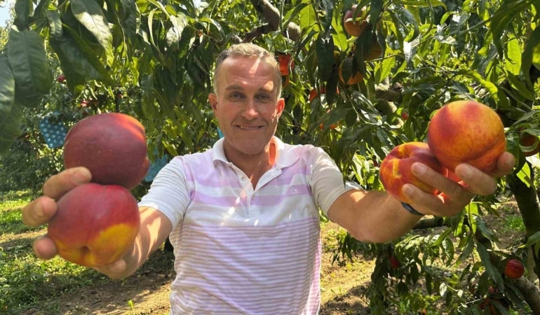 TÜRKİYE'NİN ŞEFTALİ VE NEKTARİN ÜRETİMİNDE ÖNDE GELEN MERKEZLERİNDEN BURSA'NIN GÜRSU İLÇESİNDE, GEÇ DÖNEM NEKTARİN TARLADA KİLOSU 30-40 LİRADAN ALICI BULARAK ÜRETİCİNİN YÜZÜNÜ GÜLDÜRDÜ.