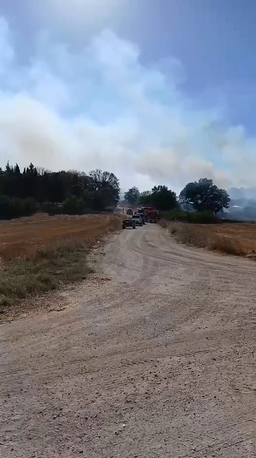 BURSA’NIN NİLÜFER İLÇESİNDE BÜYÜKBALIKLI İLE ÇEKRİCE MAHALLELERİ ARASINDA KALAN BÖLGEDE ÇIKAN ARAZİ YANGINI, EKİPLERİN MÜDAHALESİYLE BÜYÜMEDEN KONTROL ALTINA ALINARAK SÖNDÜRÜLDÜ.