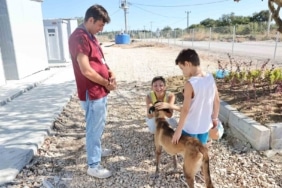 NİLÜFER BELEDİYESİ UMUT AĞACI SAHİPSİZ HAYVANLAR DOĞAL YAŞAM VE SAHİPLENDİRME MERKEZİ'NDE KORUMA ALTINDA BULUNAN 4 YAŞINDAKİ BELÇİKA KURDU CİNSİ "UMUT", HAYVANSEVER SEVİL AY TARAFINDAN SAHİPLENİLDİ.
